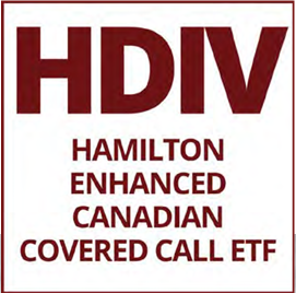 HDIV logo